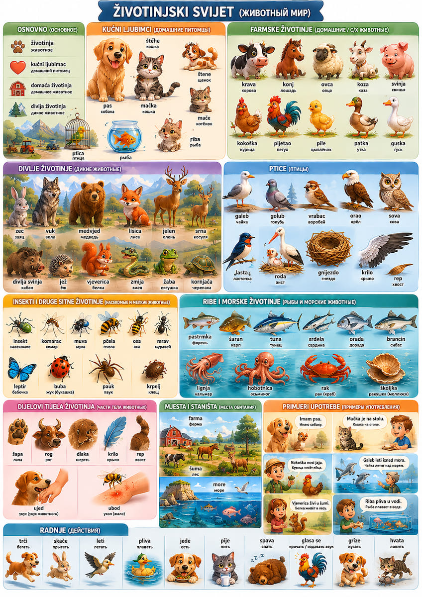 animals1