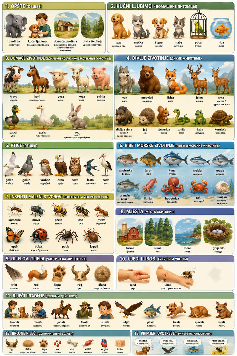 animals2